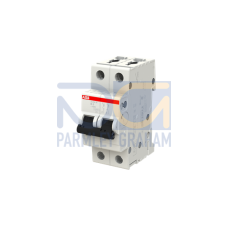 S202M-B6 Miniature Circuit Breaker - 2P - B - 6 A