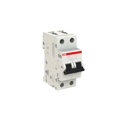 2-Pole, Type C 10kA, 63A