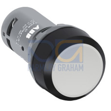 CP1-10U-01 Pushbutton