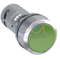 CP1-30G-01 Pushbutton