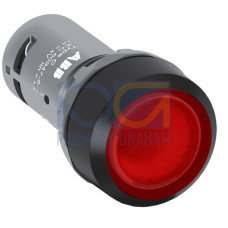 CP1-11R-10 Pushbutton