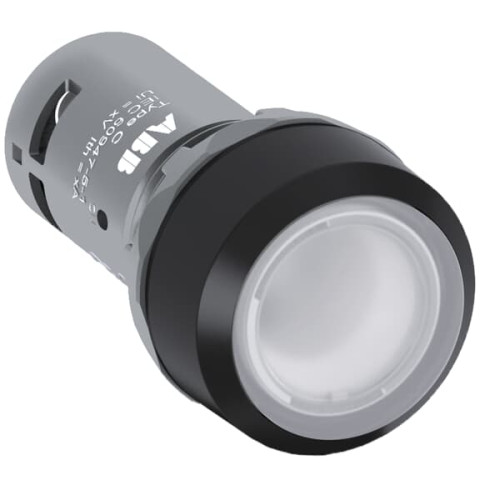 CP1-11C-10 Pushbutton