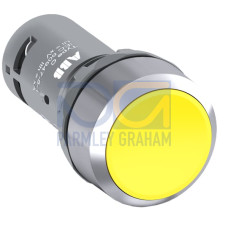 CP1-30Y-01 Pushbutton