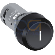 CP11-10G-10 Pushbutton