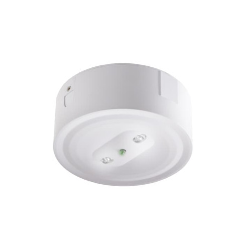 PRIMEVO ESC R. S. MT 100 ST