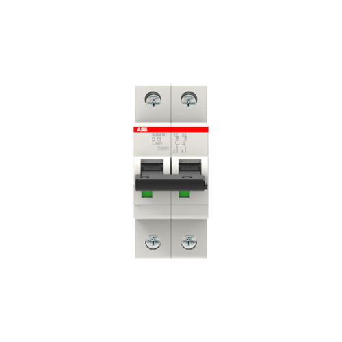 S202M-D13 Miniature Circuit Breaker - 2P - D - 13 A