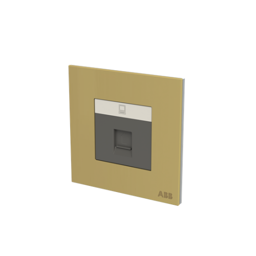 Data outlet 1 gang Matt Gold - Millenium