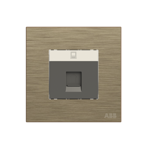 Data outlet 1 gang Antique Gold - Millenium