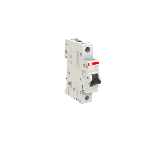 1-Pole, Type K 6kA, 25A