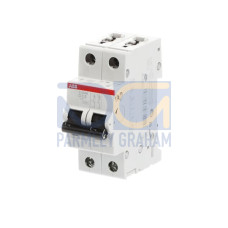 S202M-D0.5 Miniature Circuit Breaker - 2P - D - 0.5 A