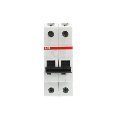 2-Pole, Type D 10kA, 1A
