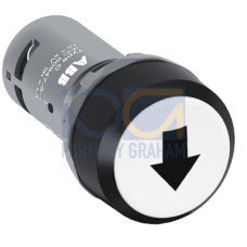 CP9-1006 Pushbutton