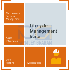 use of the COMOS MRO software and maintenance management functionalities via Cloud access for the duration of the 1-year subscription; administrati...