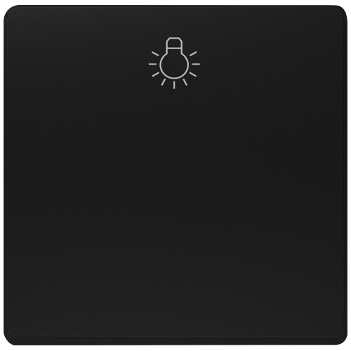 DELTA i-system soft black Rocker switch with symbol light for pushbutton, 55x55mm