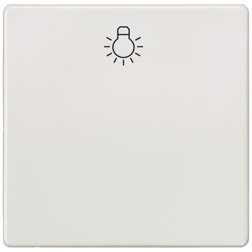 DELTA i-system titanium white Rocker switch with symbol light for pushbutton, 55x55mm