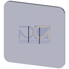 Labeling plate for gluing on enclosure, label size 22x22mm, silver label, black font, with graphic symbol: II