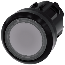 Clear - Plastic illuminated push button with flat button, momentary Contact