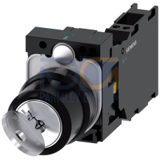 RONIS key-operated switch, 22 mm, round, plastic, 2 switch positions O-I, 2x 1 NC