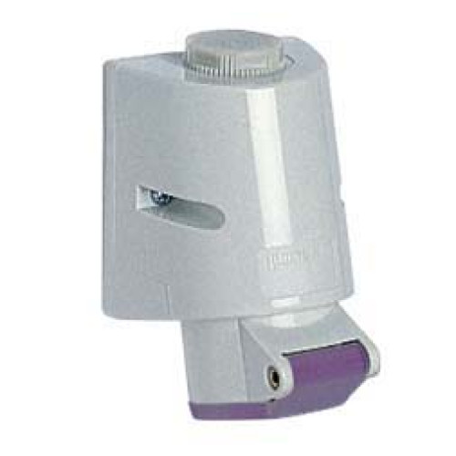 Wall mounted socket 16A 24V 2P IP44