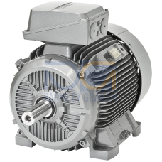 SIMOTICS SD MOTOR TYPE: 1CV3186B Low-voltage motor, IEC Squirrel-cage rotor, self-ventilated, IP55 T