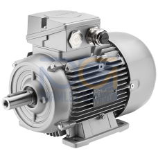SIMOTICS XP Motor type: 1AV3162A Low-voltage motor, IEC Squirrel-cage rotor, self-ventilated, IP55 T