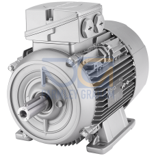 SIMOTICS GP MOTOR TYPE: 1AV3083B Low-voltage motor, IEC Squirrel-cage rotor, self-ventilated, IP55 T