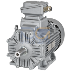 XP motor type: 1CD3163A low-voltage motor, IEC squirrel-cage rotor, self-cooled, IP55 temperature class 155(F) according to 130(B) gray cast iron h...