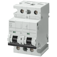 Miniature circuit breaker, 400 V, Icn: 10 kA, 2P, B-Char, In: 80 A