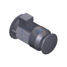 SIMOTICS GP only EX and PM variant! Low-voltage motor, squirrel-cage rotor, IP55 4-pole *Size 90NO*