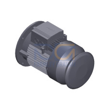 SIMOTICS GP Only EX and PM version! Low-voltage motor, squirrel-cage rotor, IP55 6-pole * Size 132M