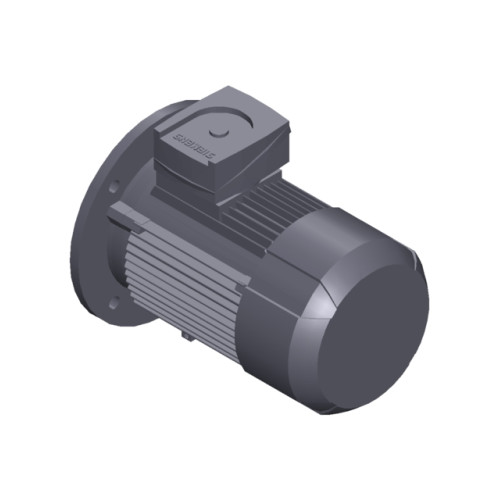 SIMOTICS GP Motor type: 1AV2082B Low-voltage motor, IEC Squirrel-cage rotor, self-ventilated, IP55 T