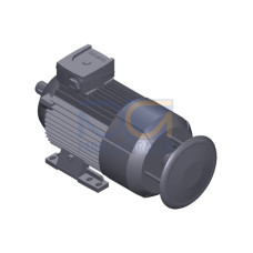 SIMOTICS GP Motor type: 1AV2094A Low-voltage motor, IEC Squirrel-cage rotor, self-ventilated, IP55 T