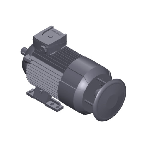 SIMOTICS GP Motor type: 1AV2094A Low-voltage motor, IEC Squirrel-cage rotor, self-ventilated, IP55 T