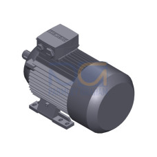 SIMOTICS GP Motor type: 1AV2090B Low-voltage motor, IEC Squirrel-cage rotor, self-ventilated, IP55 T
