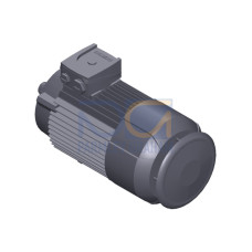 SIMOTICS GP Motor type: 1AV2090B Low-voltage motor, IEC Squirrel-cage rotor, self-ventilated, IP55 T