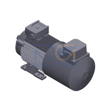 SIMOTICS GP Motor type: 1AV2090B Low-voltage motor, IEC Squirrel-cage rotor, self-ventilated, IP55 T