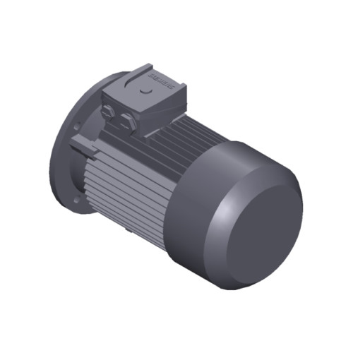 SIMOTICS GP Motor type: 1AV2094B Low-voltage motor, IEC Squirrel-cage rotor, self-ventilated, IP55 T