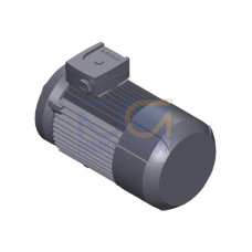 SIMOTICS GP Motor type: 1AV2094B Low-voltage motor, IEC Squirrel-cage rotor, self-ventilated, IP55 T