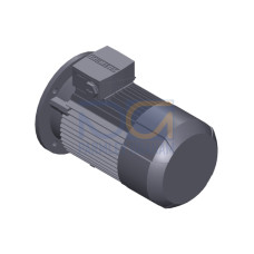 SIMOTICS GP Motor type: 1AV2090C Low-voltage motor, IEC Squirrel-cage rotor, self-ventilated, IP55 T