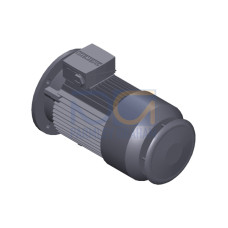 SIMOTICS GP Motor type: 1AV2090C Low-voltage motor, IEC Squirrel-cage rotor, self-ventilated, IP55 T