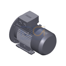 SIMOTICS GP Motor type: 1AV2104A Low-voltage motor, IEC Squirrel-cage rotor, self-ventilated, IP55 T
