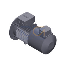 SIMOTICS GP Motor type: 1AV2104A Low-voltage motor, IEC Squirrel-cage rotor, self-ventilated, IP55 T