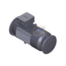 SIMOTICS GP Motor type: 1AV2106A Low-voltage motor, IEC Squirrel-cage rotor, self-ventilated, IP55 T