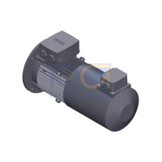 SIMOTICS GP Motor type: 1AV2104B Low-voltage motor, IEC Squirrel-cage rotor, self-ventilated, IP55 T
