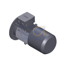 SIMOTICS GP Motor type: 1AV2104B Low-voltage motor, IEC Squirrel-cage rotor, self-ventilated, IP55 T