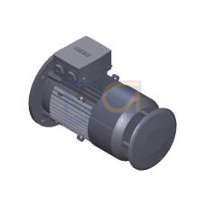 SIMOTICS GP Motor type: 1AV2104B Low-voltage motor, IEC Squirrel-cage rotor, self-ventilated, IP55 T