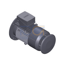 SIMOTICS GP Motor type: 1AV2104B Low-voltage motor, IEC Squirrel-cage rotor, self-ventilated, IP55 T