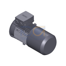SIMOTICS GP Motor type: 1AV2104B Low-voltage motor, IEC Squirrel-cage rotor, self-ventilated, IP55 T