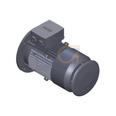 SIMOTICS GP Motor type: 1AV2104B Low-voltage motor, IEC Squirrel-cage rotor, self-ventilated, IP55 T