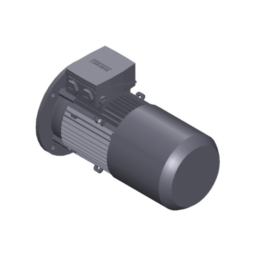 SIMOTICS GP Motor type: 1AV2105B Low-voltage motor, IEC Squirrel-cage rotor, self-ventilated, IP55 T